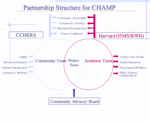 Partnership Structure for CHAMP
